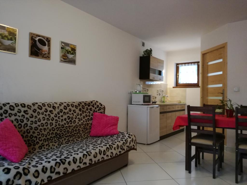 Apartamenty U Samkow Zakopane Exteriör bild