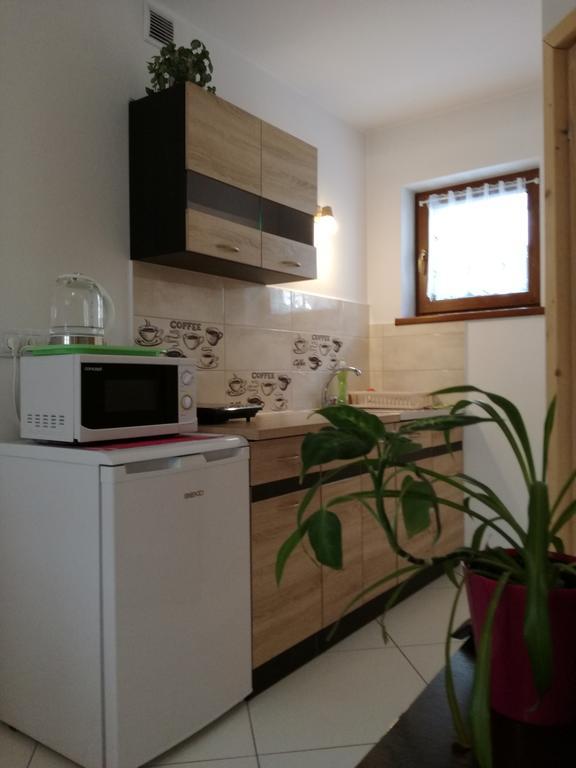 Apartamenty U Samkow Zakopane Exteriör bild